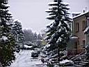 snieg2006-31.jpg
