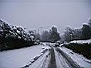snieg2006-44.jpg