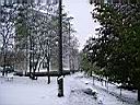 snieg2006-46.jpg